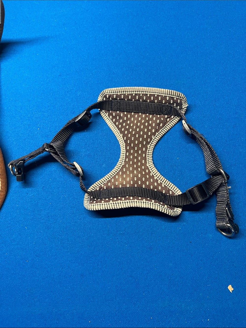 Polka Dot Brown Dog Harness with Cream Trim